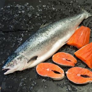 Salmon entero    4-6k